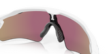 Oakley Radar EV Path