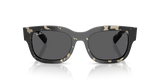 RAY-BAN x SCUDERIA FERRARI COLLECTION ICONS SUNGLASSES