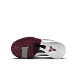 Nike Zoom Kobe V (GS) Lower Marion Aces
