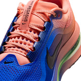 Men's Nike Pegasus Premium