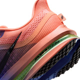 Men's Nike Pegasus Premium