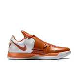 Nike Zoom KD 4 Texas