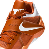 Nike Zoom KD 4 Texas