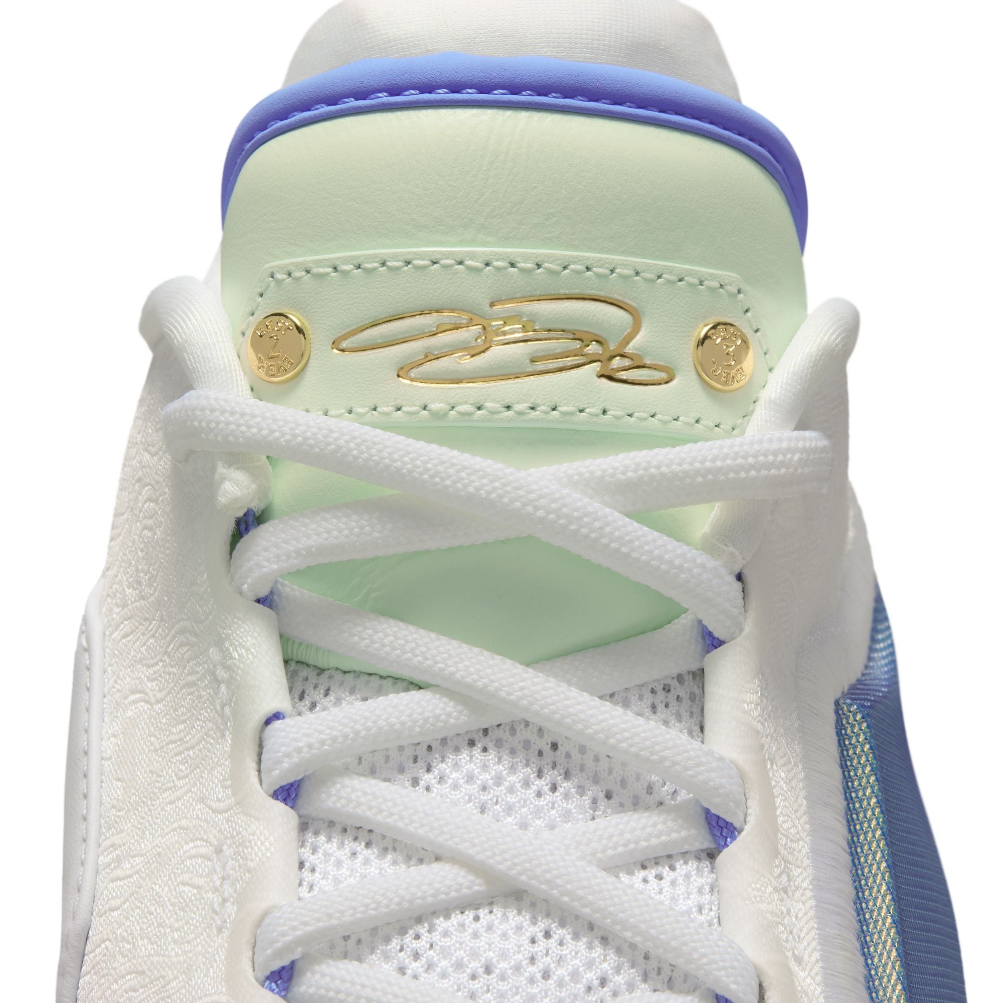 Nike Lebron XXIII 23 Motor King