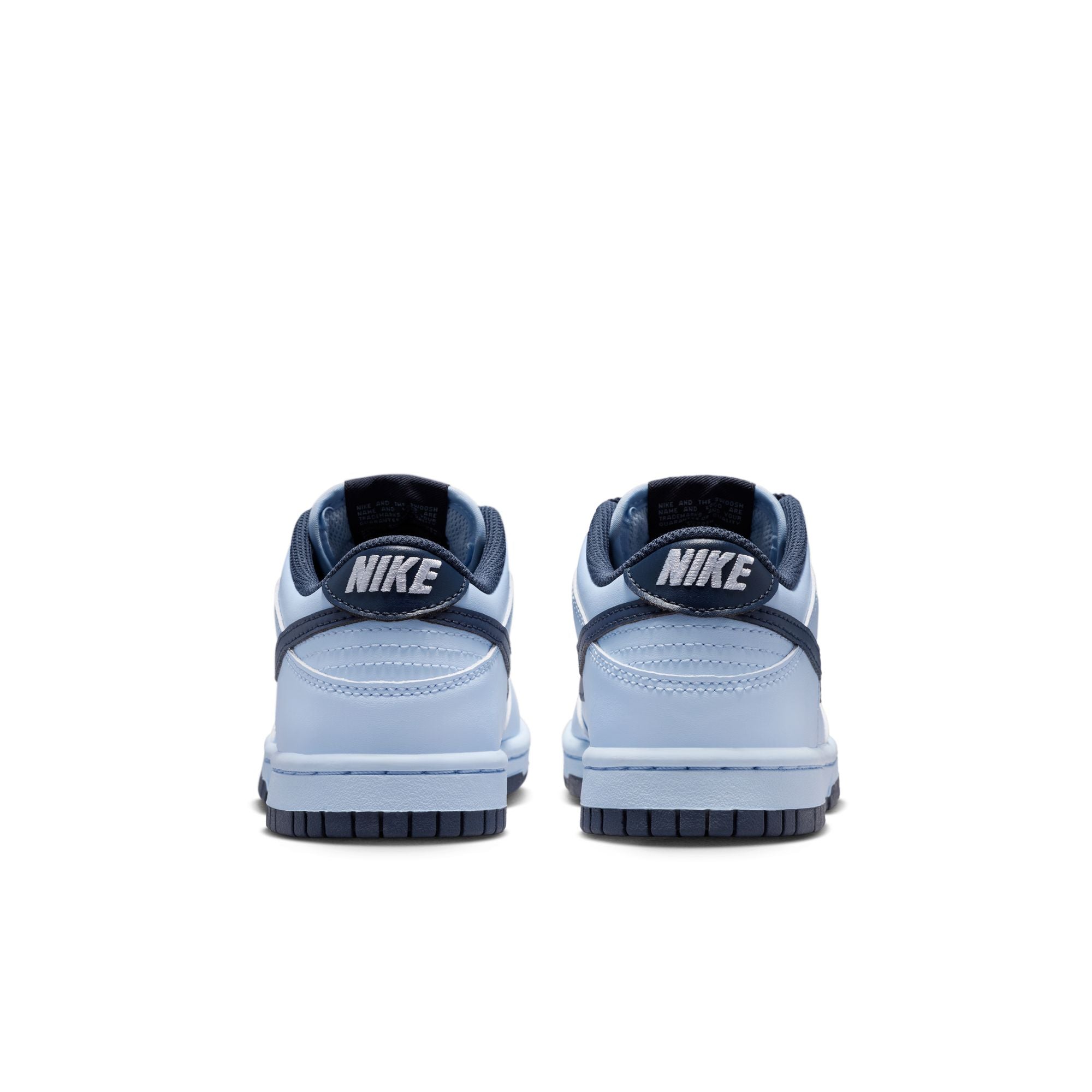 Nike Dunk Low LV8 2 (GS)