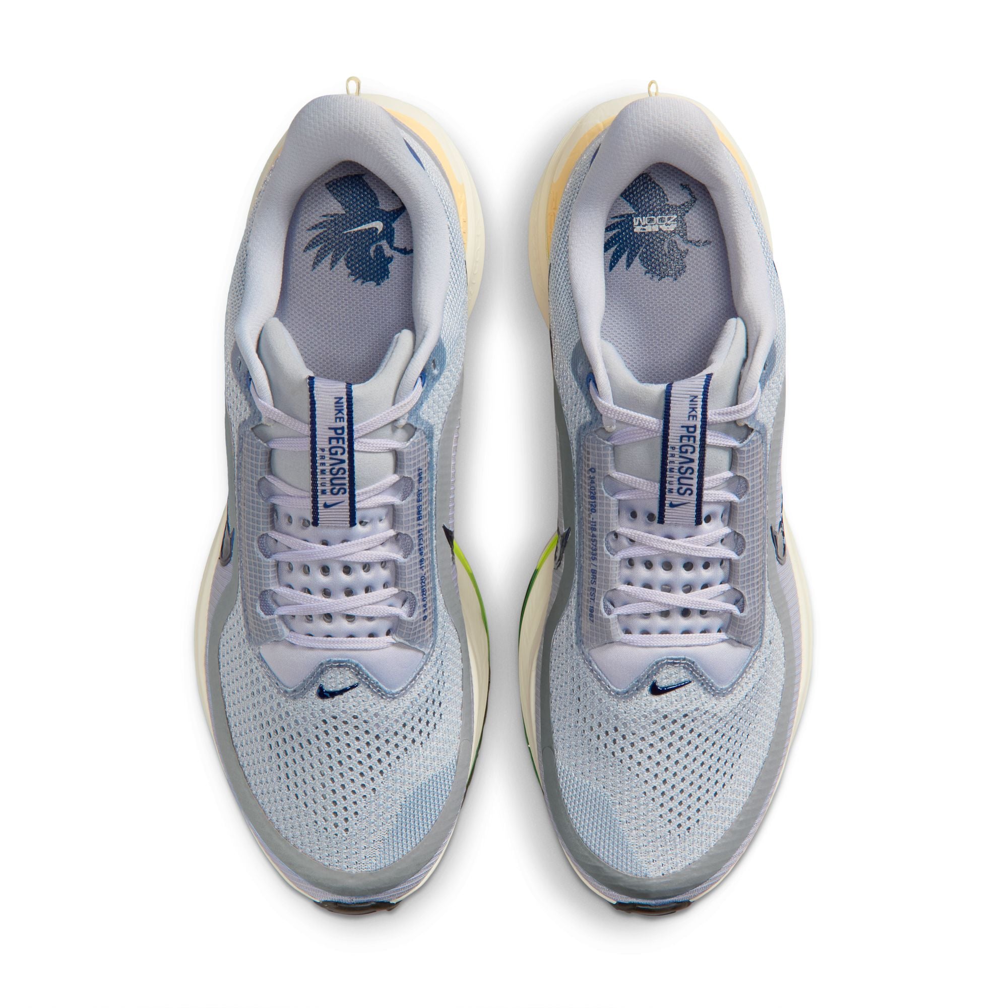 Men's Nike Pegasus Premium