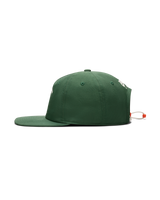 Unisex Nike Air Jordan X SoleFly 5 Panel Fruits of our Labor Pro Cap