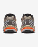 Salomon XT-6