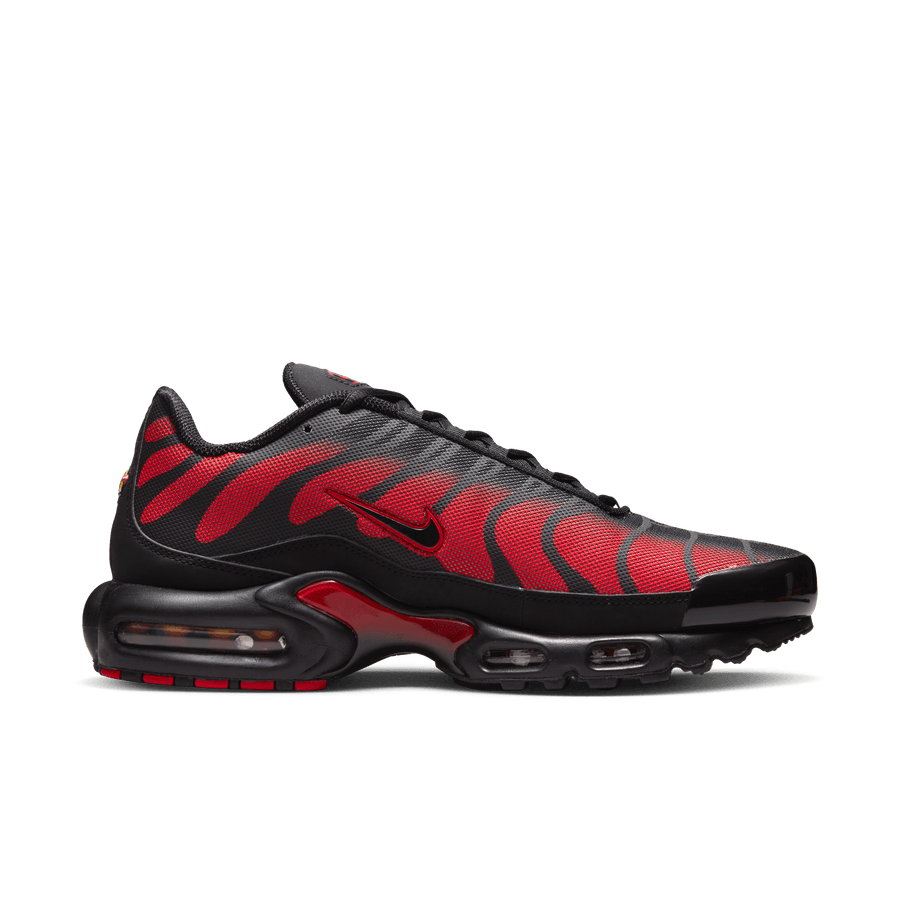Nike Air Max Plus - SoleFly